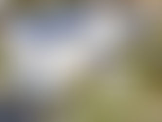 New Construction In Fairfield County – Build Your Dream Home in 3 Months!