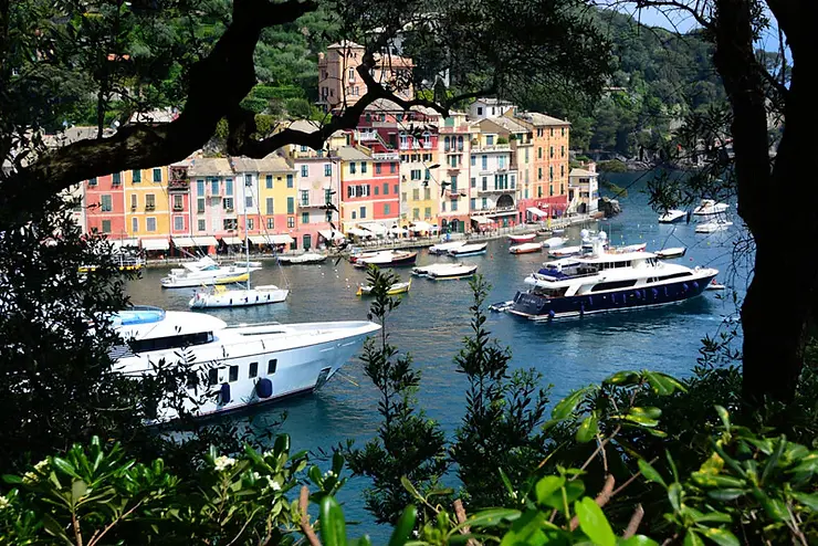 castello brown view of portofino