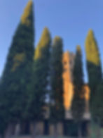 la badia orvieto