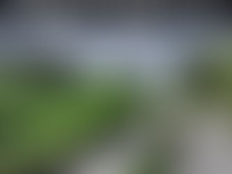 Creator-God Changes Your Identity