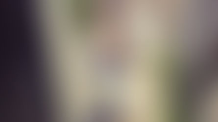 Quedas em domicílio representam 88% de óbitos entre idosos