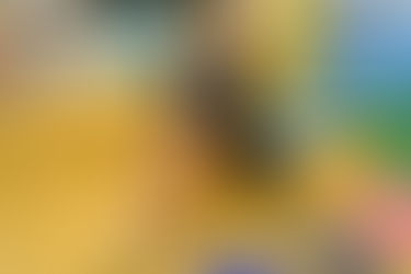 Não espere ser empregado por alguém, crie o seu trabalho aconselha Brandalise