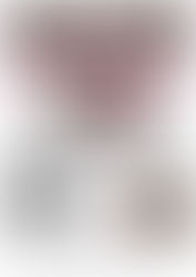 Caminho do Vinho: Uma tradição passada de geração em geração