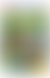 JORNAL DA CIDADE - PÁGINA 4