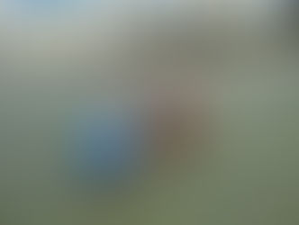 CADEIRAS POSSIBILITAM A EXPERIÊNCIA DE ENTRAR NO MAR