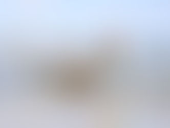 PROGRAMA PRAIA ACESSÍVEL RETORNA À PITANGUEIRAS