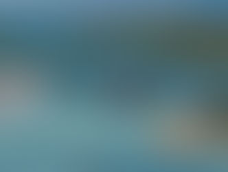 DORIA ANUNCIA LICENÇA AMBIENTAL DA PONTE ENTRE SANTOS E GUARUJÁ