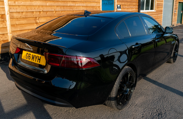 Jaguar medium light tint