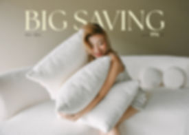 BIG SAVING (website).jpg