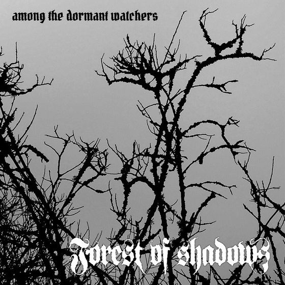 REVIEWED: Forest of Shadows' 'Among the Dormant Watchers'