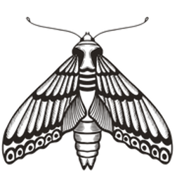 Moth Nails By Kamile, nail salon, Huntingdonshire, United Kingdom