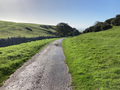 Mindfulness and Busyness.  Can they co-exist?