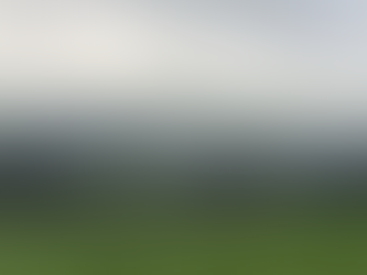 How can Parents and their Adult Children Grow Together