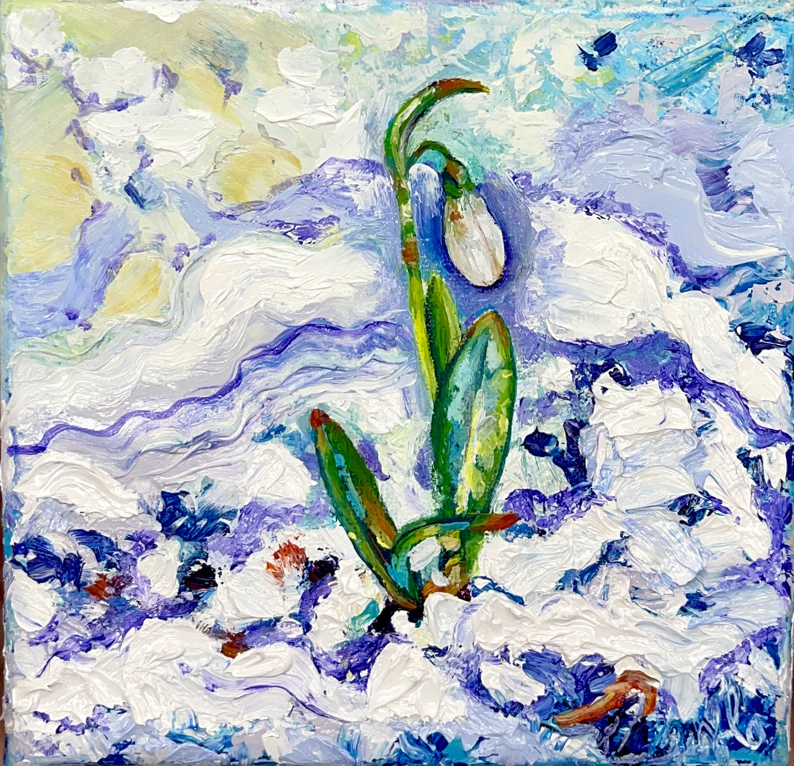 Winter Snowdrop (Canvas Print)