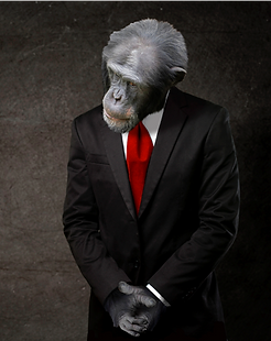 Monkey.png