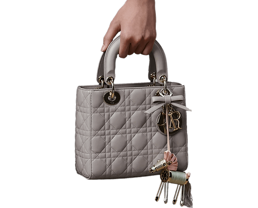 Blinkink_Renee-Zhan_Nina-Gantz_Dior_productwithbag.png