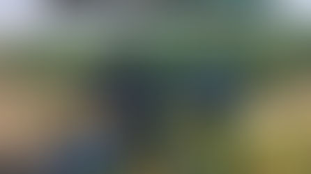 Presiones de diseño en unidades de riego por goteo