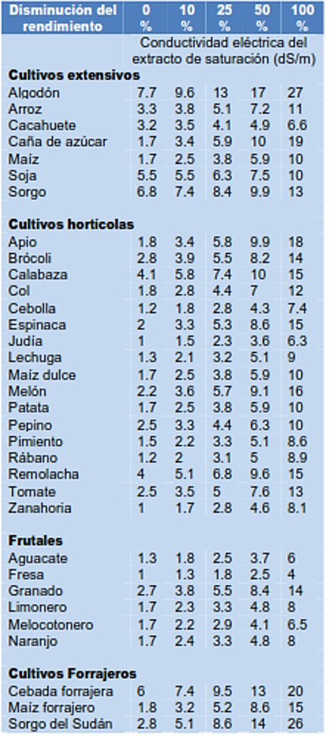 tolerancia de los cultivos a la salinidad