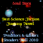 P&E Best Novel Award