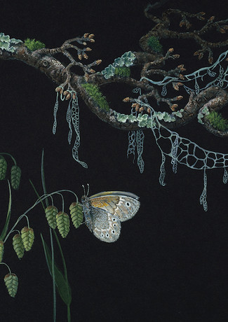 Lucy Martin