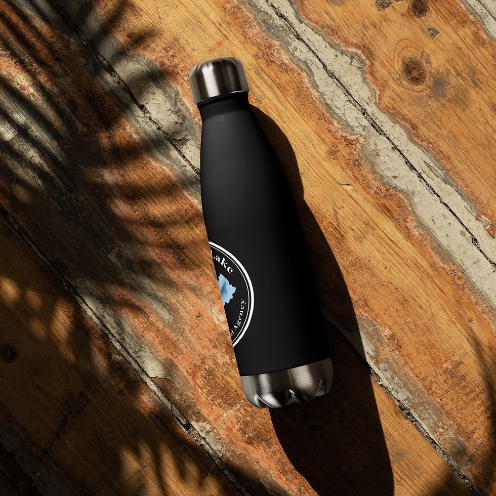 Thumbnail: Stainless Steel Water Bottle