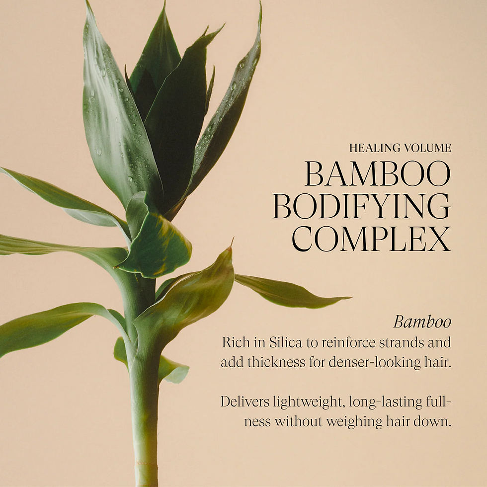 Thumbnail: L'Anza Healing Volume Root Effects