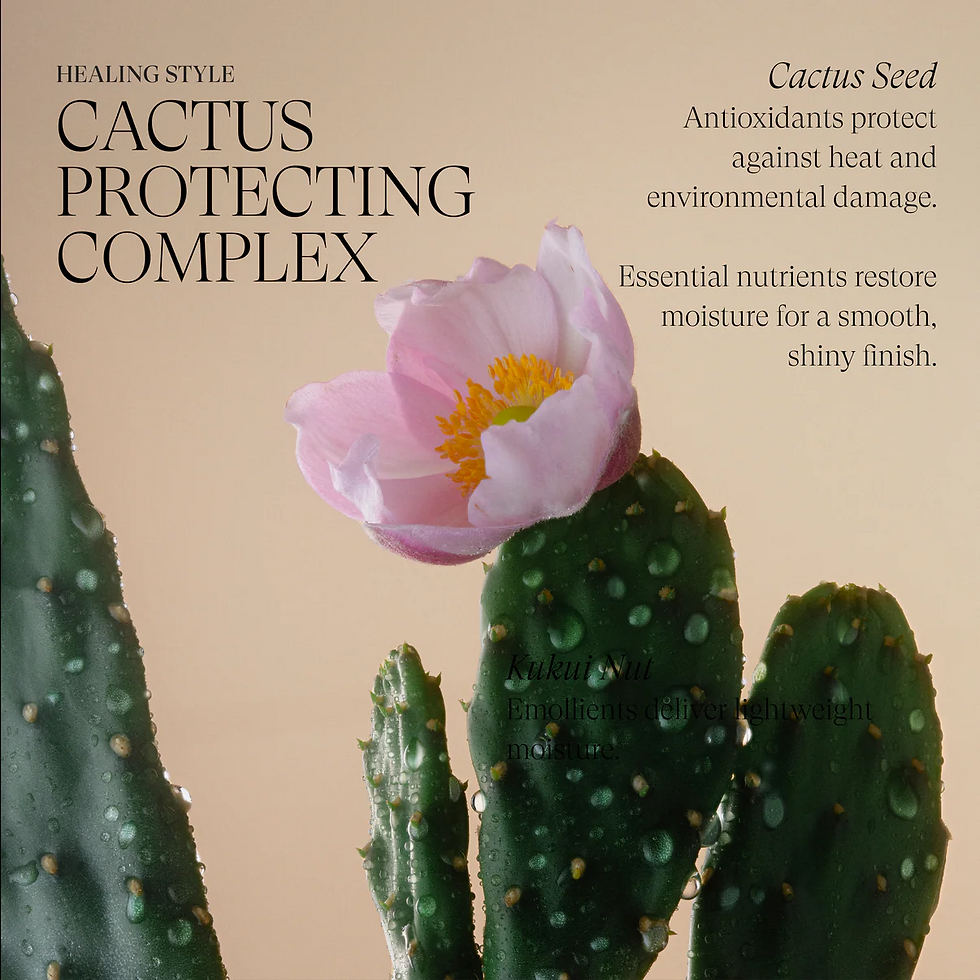 Thumbnail: L'Anza Healing Style Smooth Balm