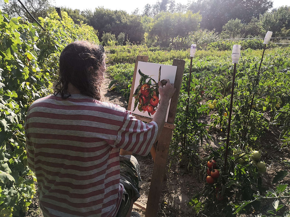 Thumbnail: 'Tomatoes on the vine' Original Oil Painting