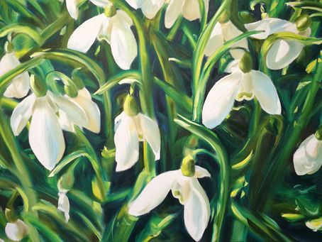 New snowdrop paintings at Painswick Rococo Garden by Cotswold artist Nick Pike