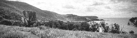 Coastline1_edited.png