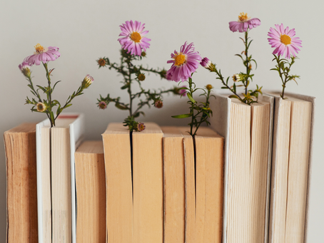Why Indie Authors Need Bookkeeping