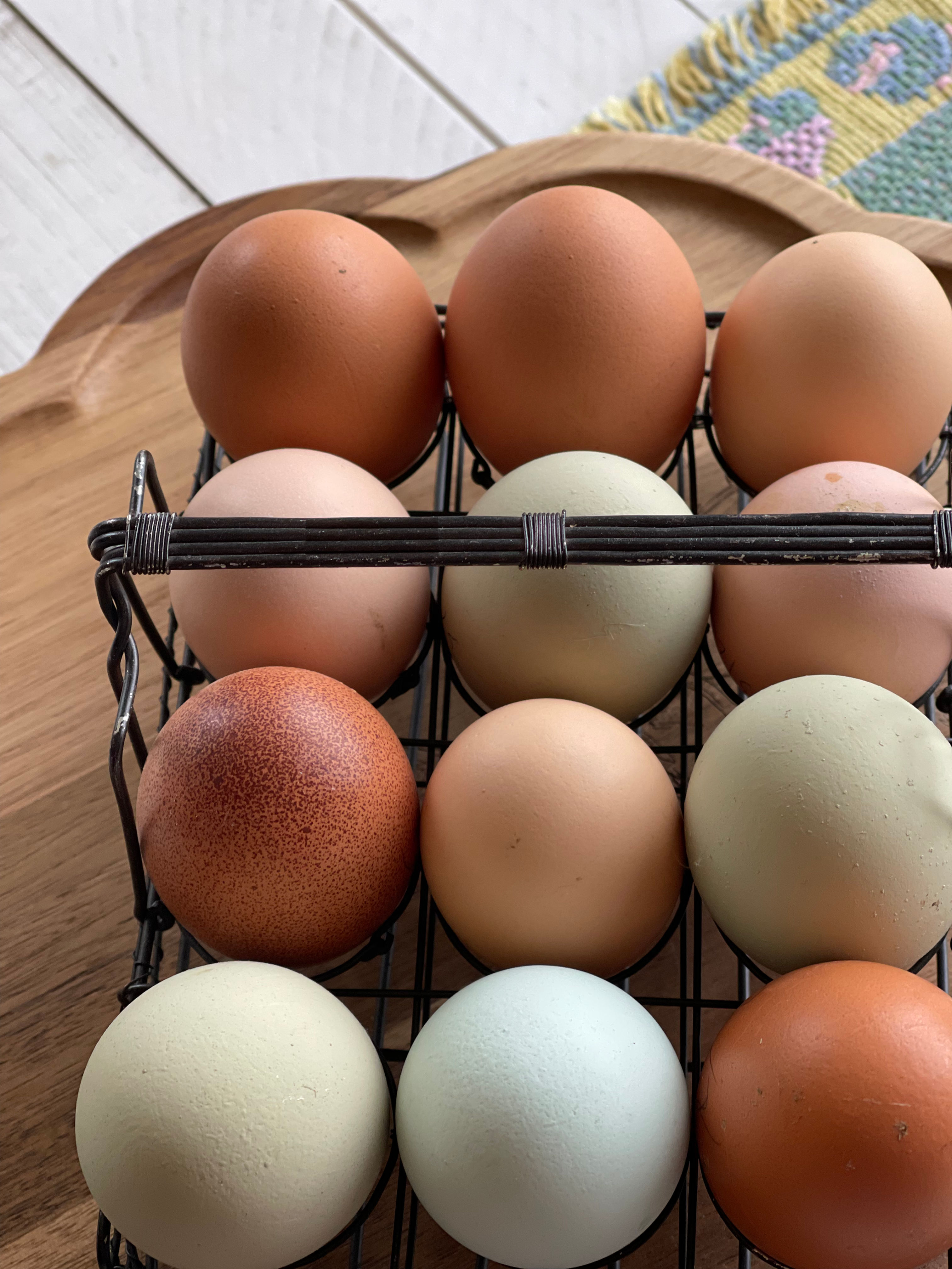 Barnyard Mix Chicken Hatching Eggs – Fertile Farm Raised Eggs