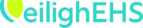 Veiligh logo text
