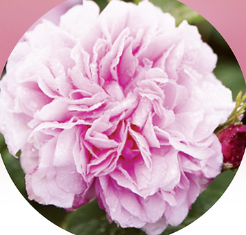 スクリーンショット 2024-03-10 0.59.27.png