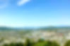 top_bg_01.jpg
