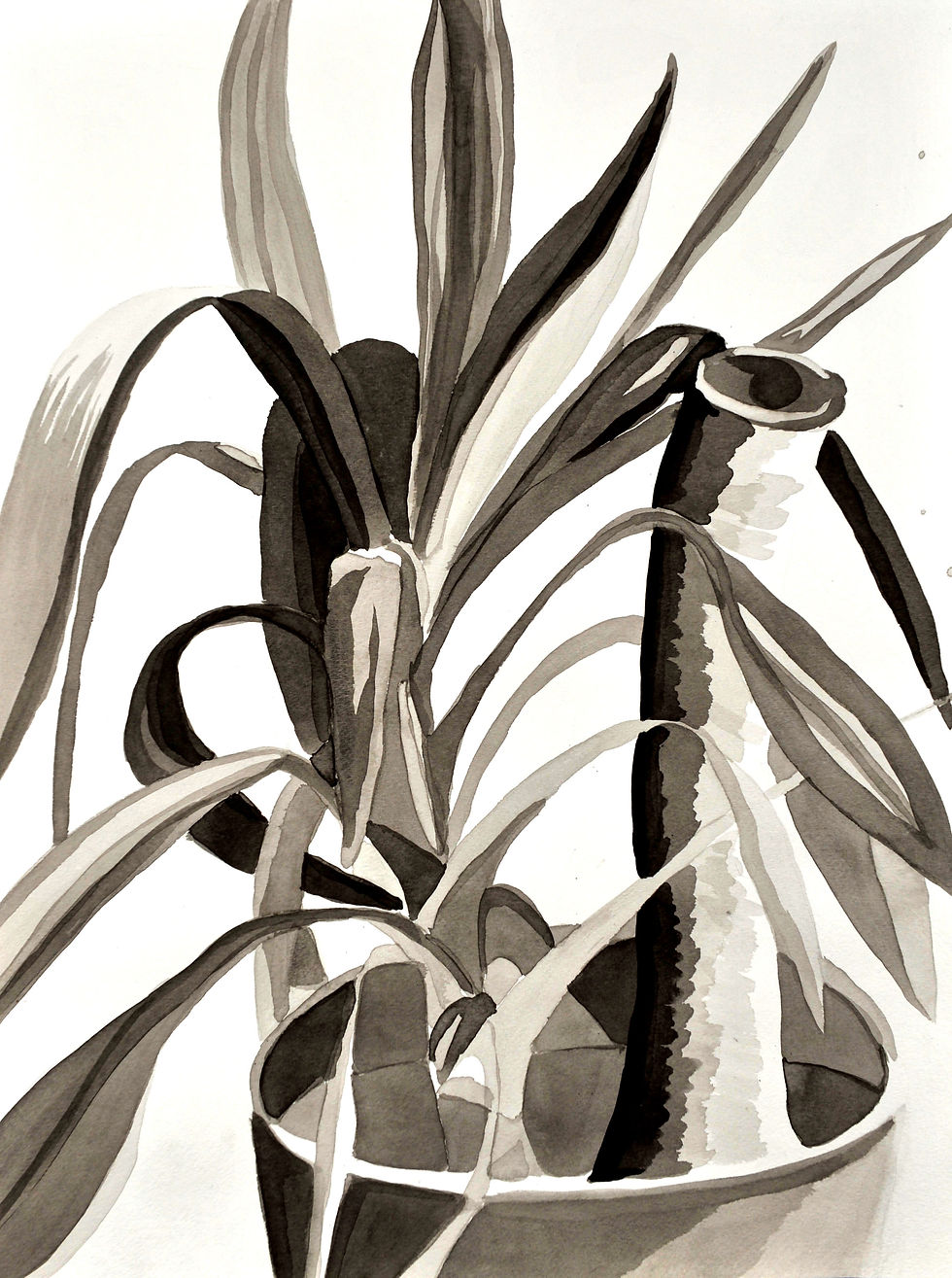Plant Still Life