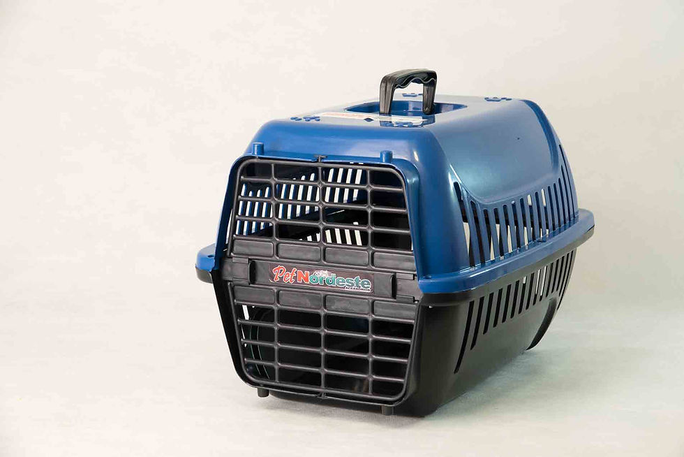Miniatura: RB Pet - Caixa de Transporte