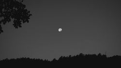 Lonely