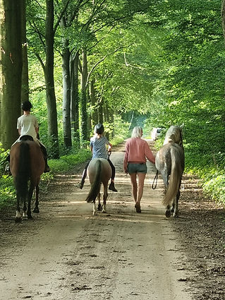 Afbeelding van WhatsApp op 2024-05-29 om 15.45.14_53c66a7d.jpg