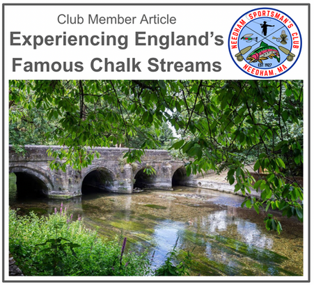 Club Member Article