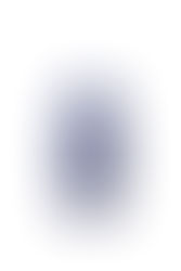 Scalable Custom NanoPak-C Monolith Media for Improved Biologic Purification