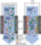 Figure 2. Without an applied potential (left), analytes move freely through the all-carbon column. At −1.2 V (right), the conductive stationary phase surface is electrochemically altered, changing how charged and hydrophobic species interact with it. Voltage becomes a live separation variable — the defining feature of EMLC.