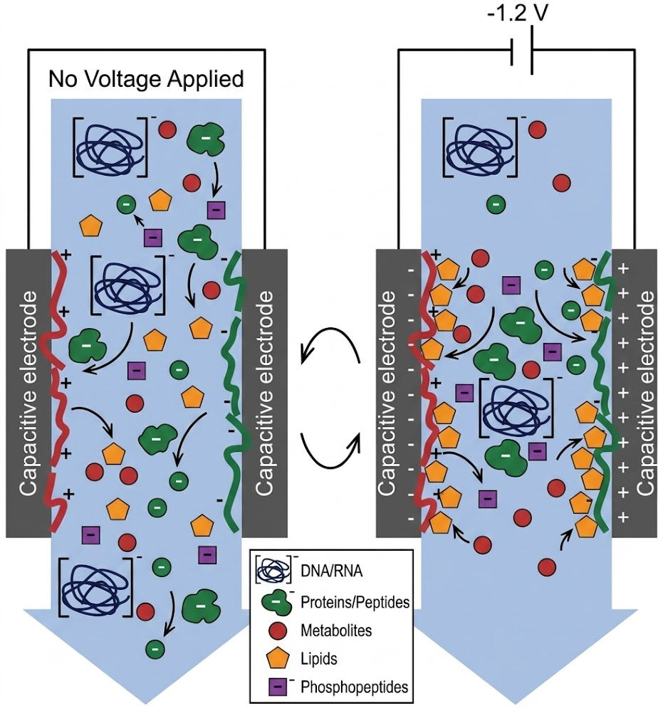 Figure 5. EMLC with all-carbon microbeads dynamically tunes retention across multiple omics classes on a single platform