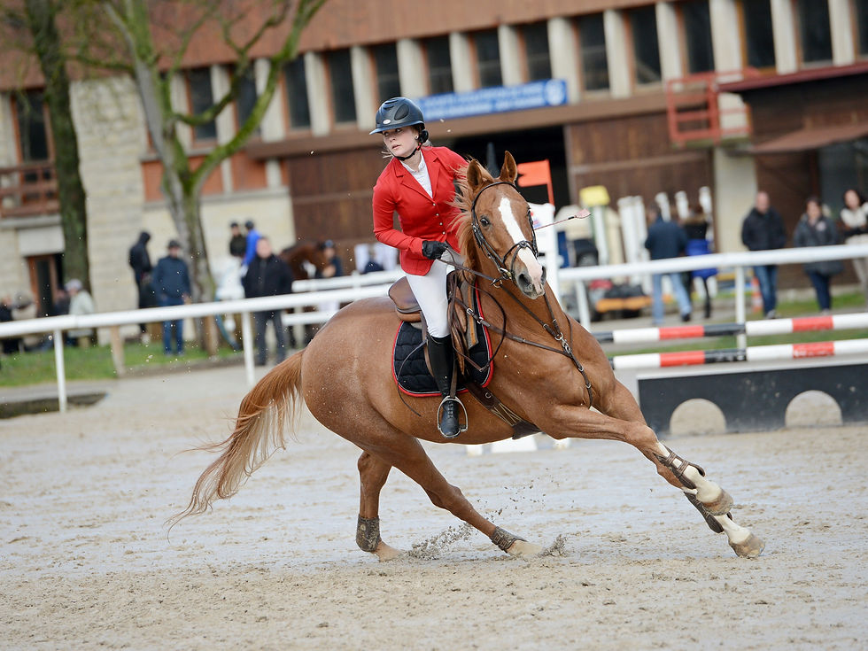 Equitation