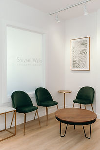 45-shivani-wells-therapy-group-waiting-room.jpg