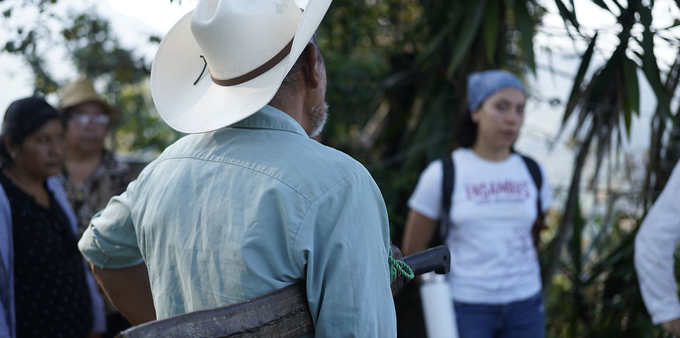 La transformación digital del café empieza en el origen