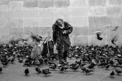 daniel-van-den-berg-545349-unsplash