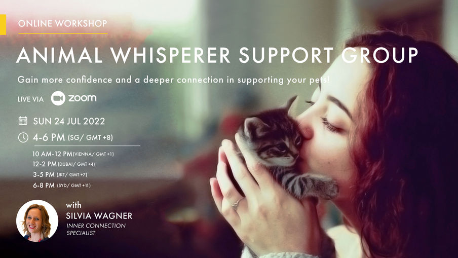 animal whisperer_ppt_PPT-Newsletter.jpg