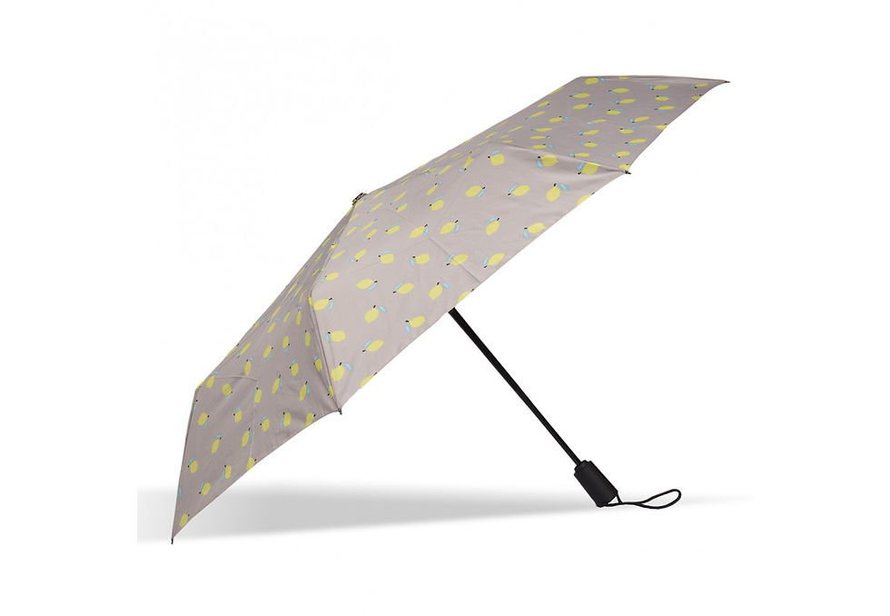 Miniature : PARAPLUIE ISOTONER Ouverture/fermeture automatique