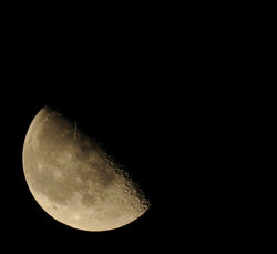_DSC0863.JPG